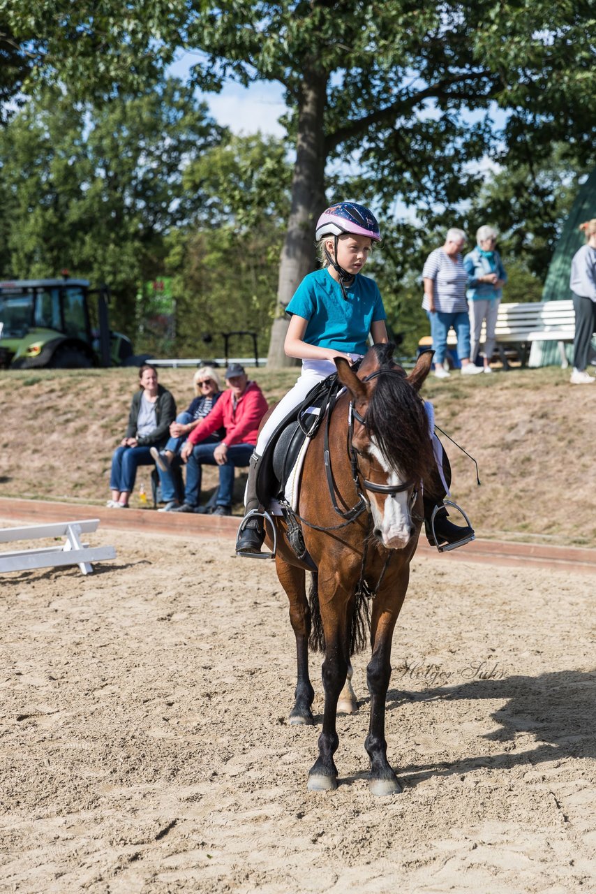 Bild 30 - Pony Akademie Turnier